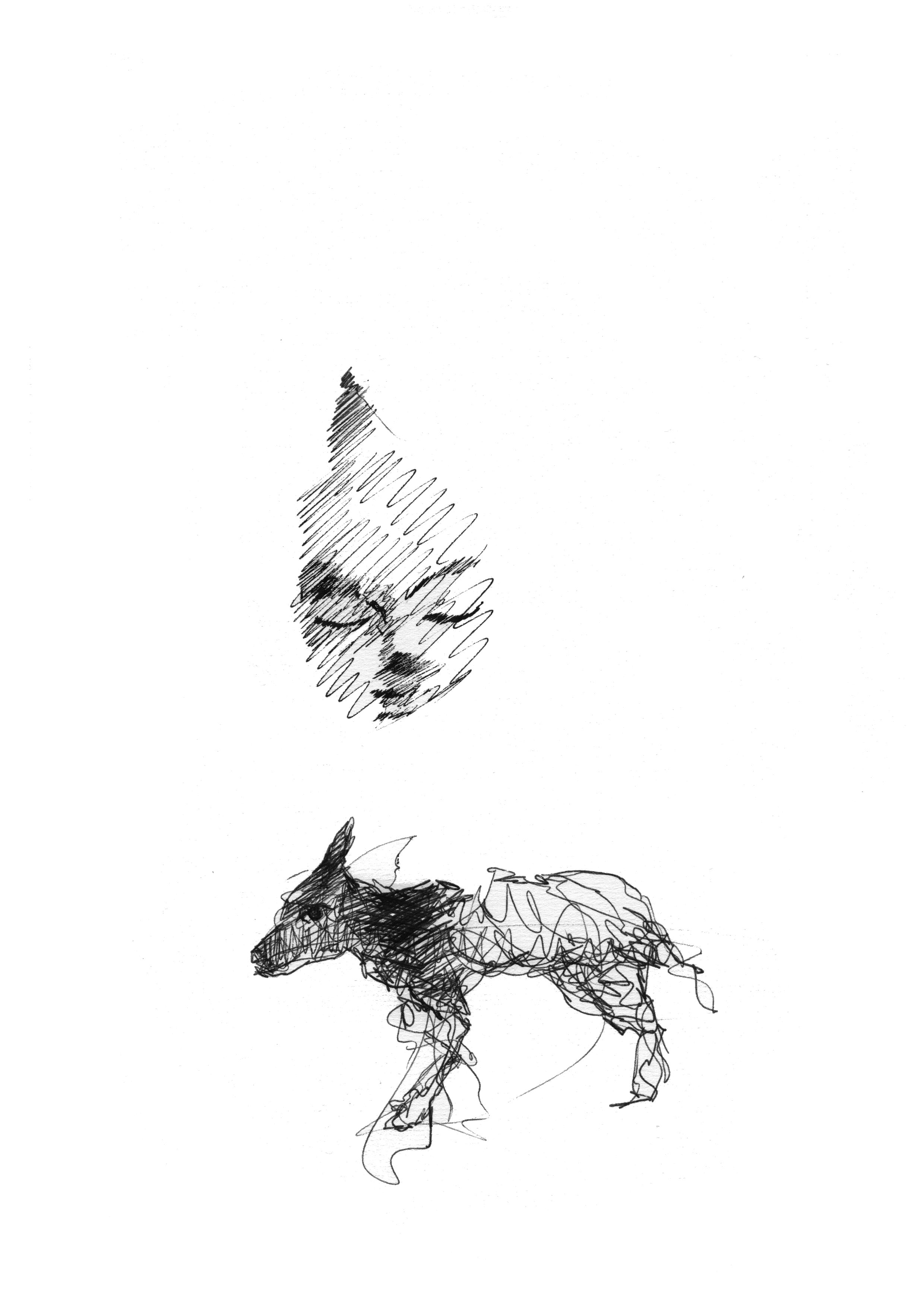 Florent Wong Le Livre Dans Tous Ses Tats Dessin La Ligne Florent Wong Le Livre Dans Tous Ses Tats Dessin La Ligne
